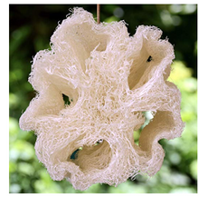 Load image into Gallery viewer, Egyptian Loofah Sponges